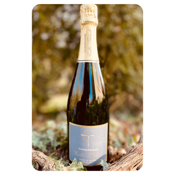 extra brut champagne bouteille