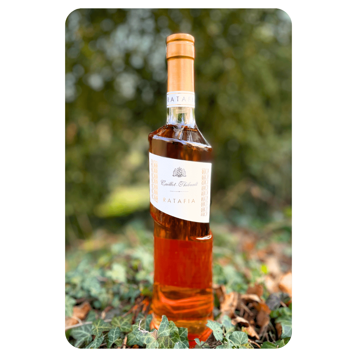 Ratafia Champagne Caillot Thibault Ratafia Champagne Caillot Thibault